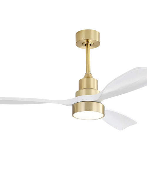 Load image into Gallery viewer, Modern 48-Inch Ceiling Fan with LED DC 6-Speed High Wind Speed with Remote Control
